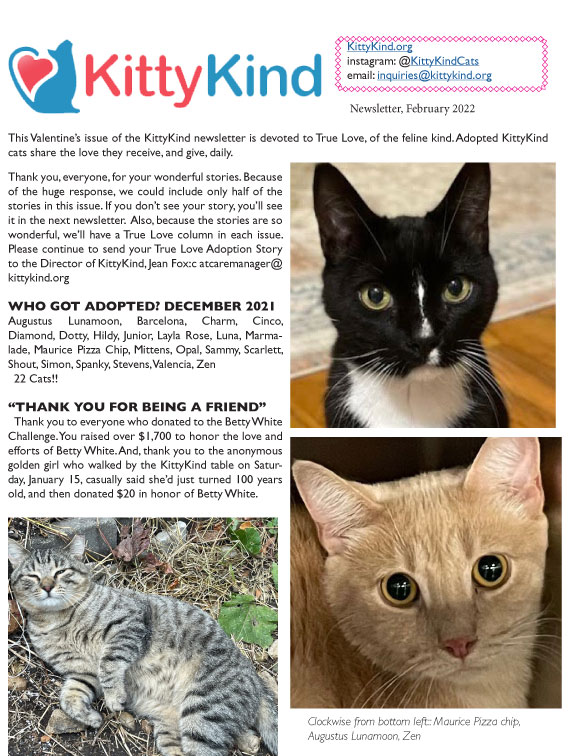 KittyKind February 2022