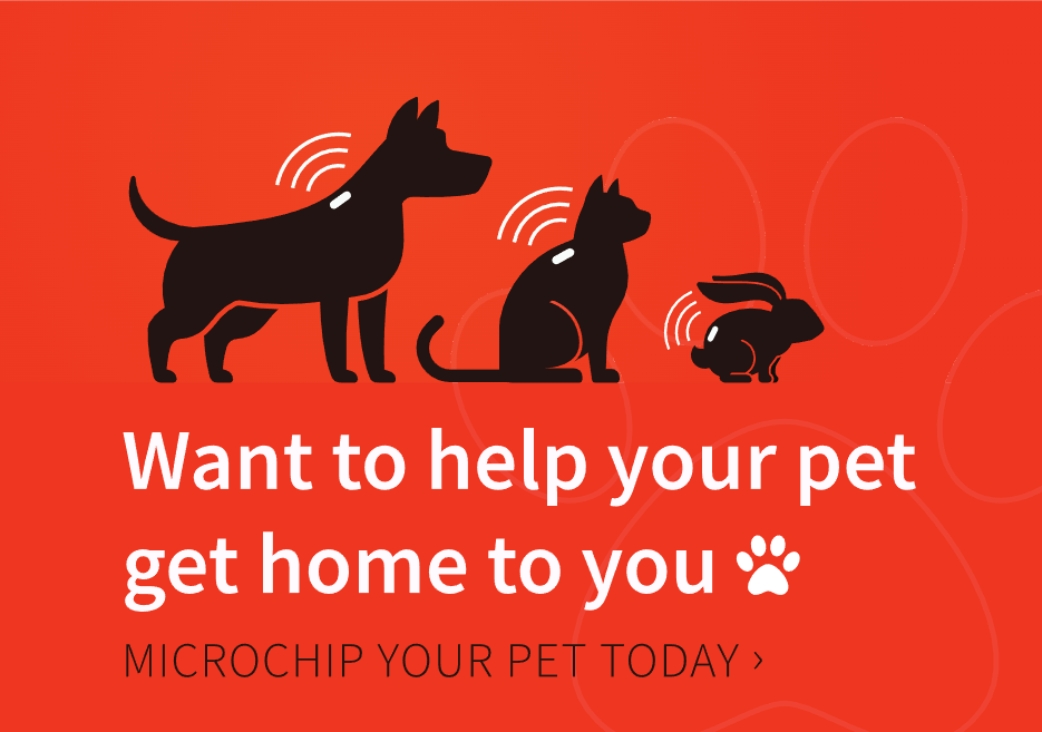 microchip your pet banner